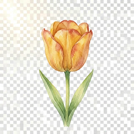 Tulip digital bouquet flower